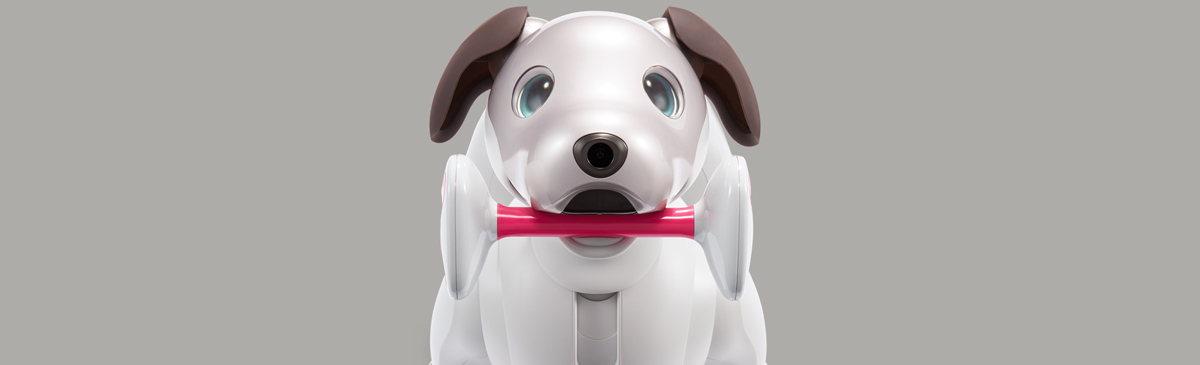 画像: 好き嫌い