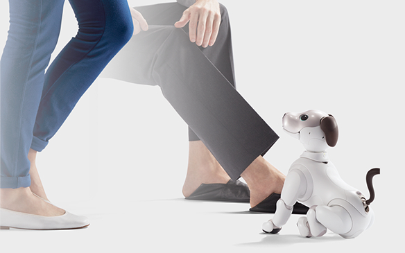 画像: 知らない人を認識して、知っている人になっていく