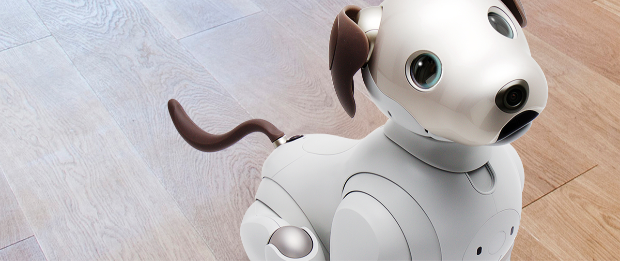 画像: 〇〇キャンペーン ビジュアル