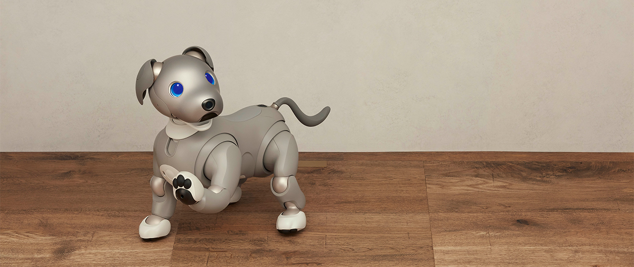 画像: 〇〇キャンペーン ビジュアル