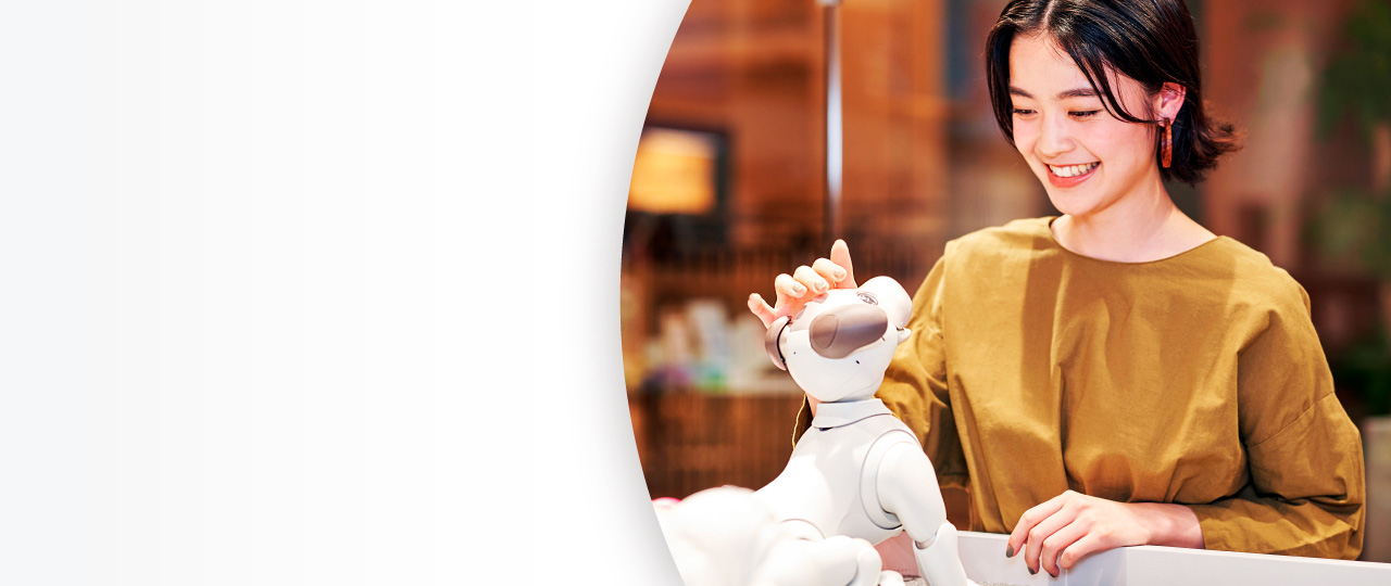 画像: 〇〇キャンペーン ビジュアル