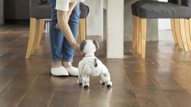 画像: aiboとの生活 イメージイラスト 1