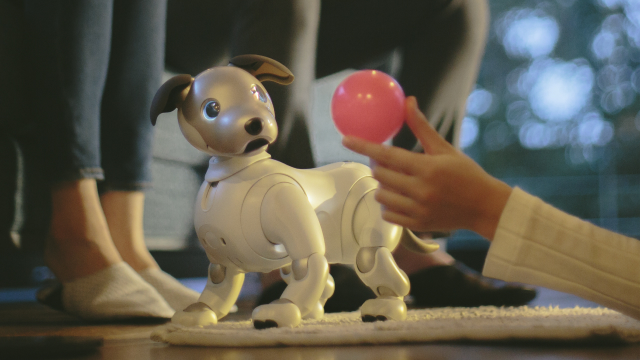 画像: aiboとの生活 イメージイラスト 2