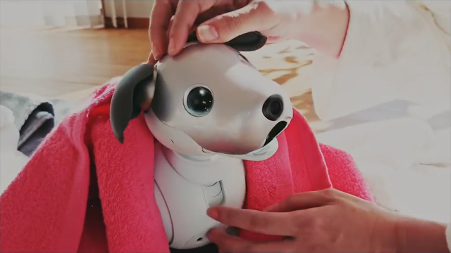 画像: aiboとの生活 イメージイラスト 5