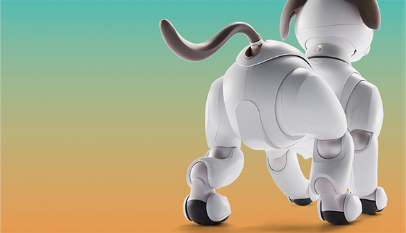 画像: aiboの姿・振る舞い