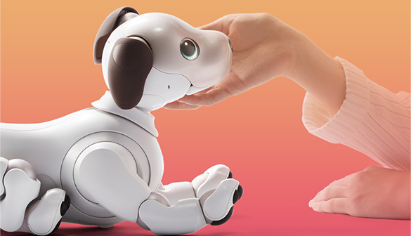 画像: aiboの姿・振る舞い